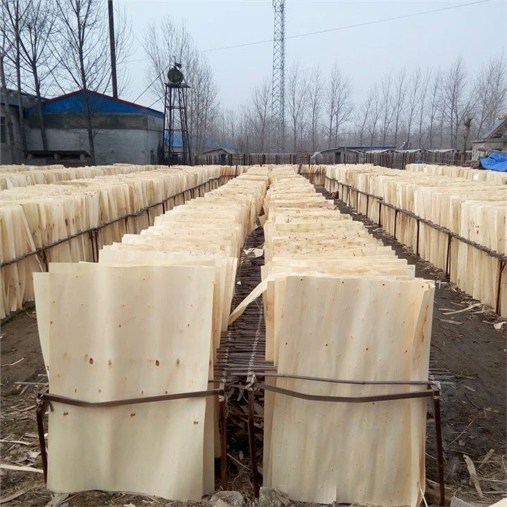 E2 Glue Laminated Veneer Lumber